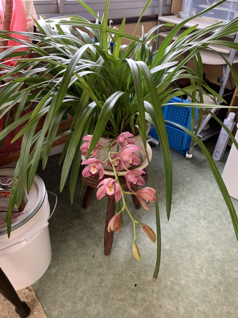 ごちゃごちゃした事務所の中ですが